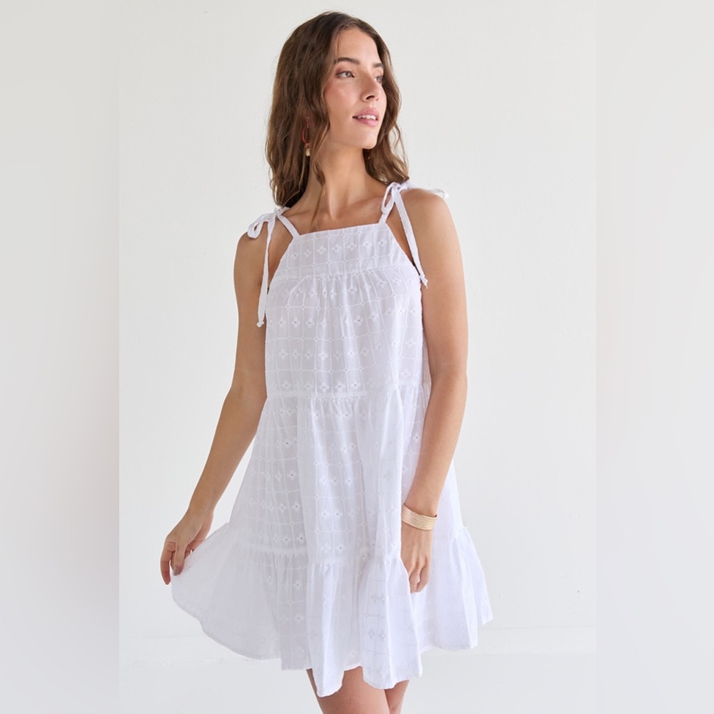 Francesca’s Robyn Tie Strap Embroidered Mini Swing Dress